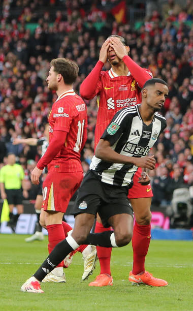 他们不仅在 他们不仅在